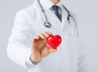 A doctor with a toy representing a heart in red color