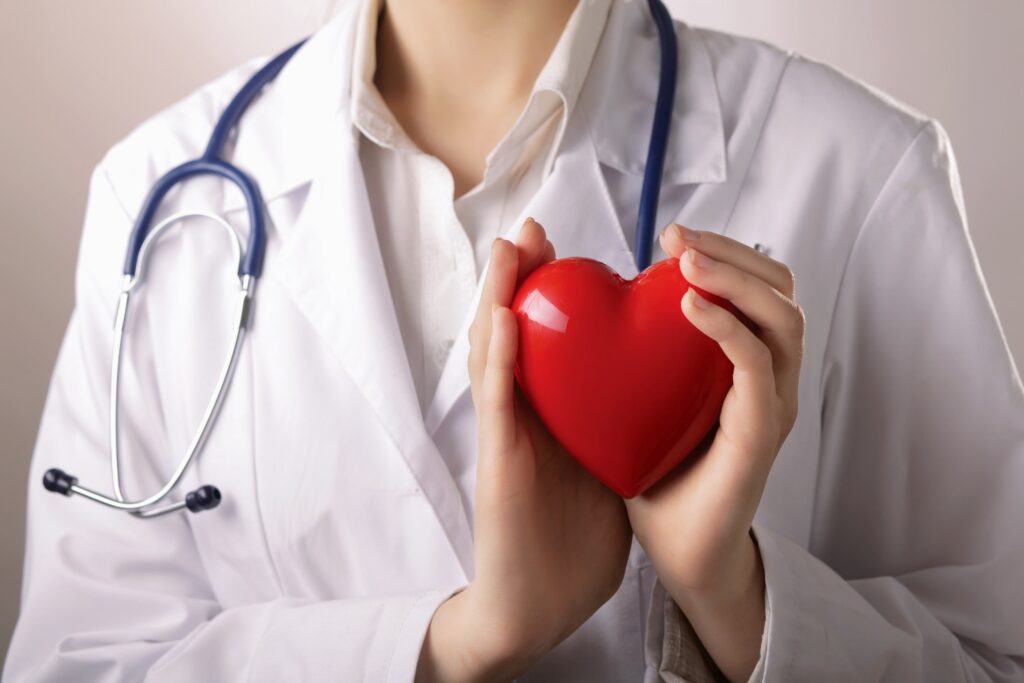 A Person Wearing a White Coat Holding a Plastic Heart
